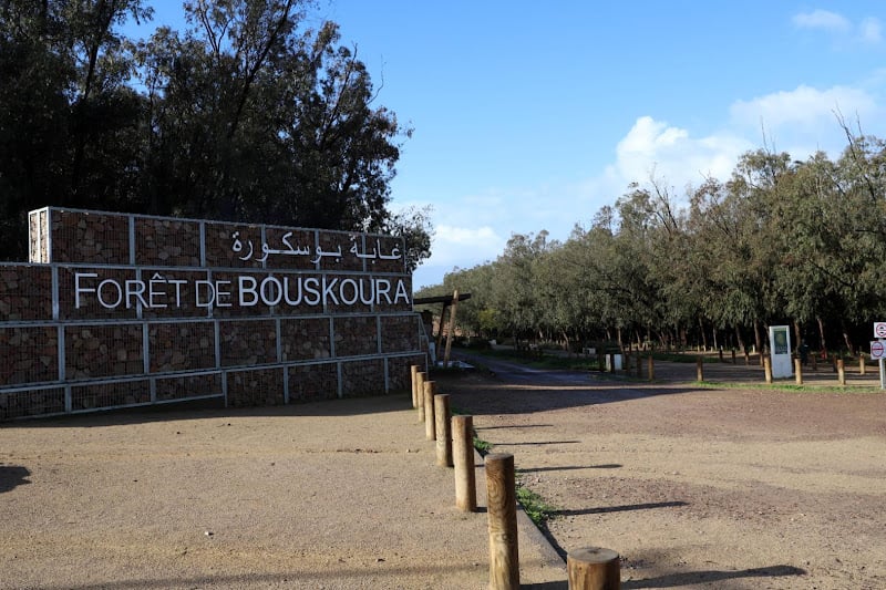 foret bouskoura