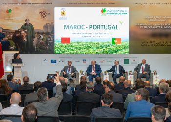 الاحتفاء بالبرتغال ضيف شرف الدورة الثامنة عشرة للملتقى الدولي للفلاحة 2026 يجسد رؤية مشتركة لفلاحة مستدامة 1 الملتقى الدولي للفلاحة siam البرتغال