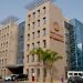 الخدمات تتصدر سوق الشغل في المغرب خلال 2026 وتستقطب نصف المشتغلين 7 7402317 11402760 1