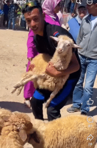 بين بلاغ الوفرة ولهفة الأسواق.. من يصنع ندرة الأضاحي في المغرب؟ 6 Capture decran 2026 05 26 162330