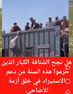 بين بلاغ الوفرة ولهفة الأسواق.. من يصنع ندرة الأضاحي في المغرب؟ 5 Capture decran 2026 05 26 162350