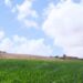 توقعات أحوال الطقس ليوم الجمعة 15 ماي 2026 7 meteo1 jpg 1 webp