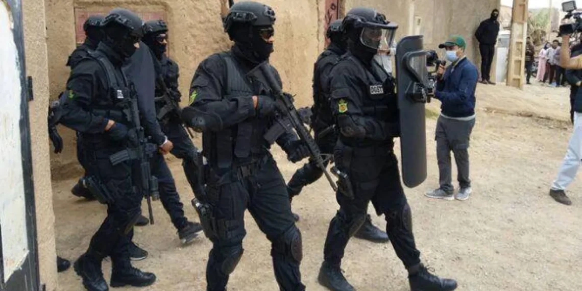وزير الداخلية: تفكيك 229 خلية إرهابية وإحباط أكثر من 400 مخطط إرهابي قبل تنفيذه 1 190181.jpeg