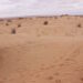 حقيقة العثور على جثث خمسة وعشرين مهاجرا غير شرعي بالشريط الحدودي 8 Archeologie figuig tourisme 5