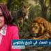 قراءة مع القرد و الحمار في تاريخ بانكلوس 7 Capture decran 2026 06 29 095545