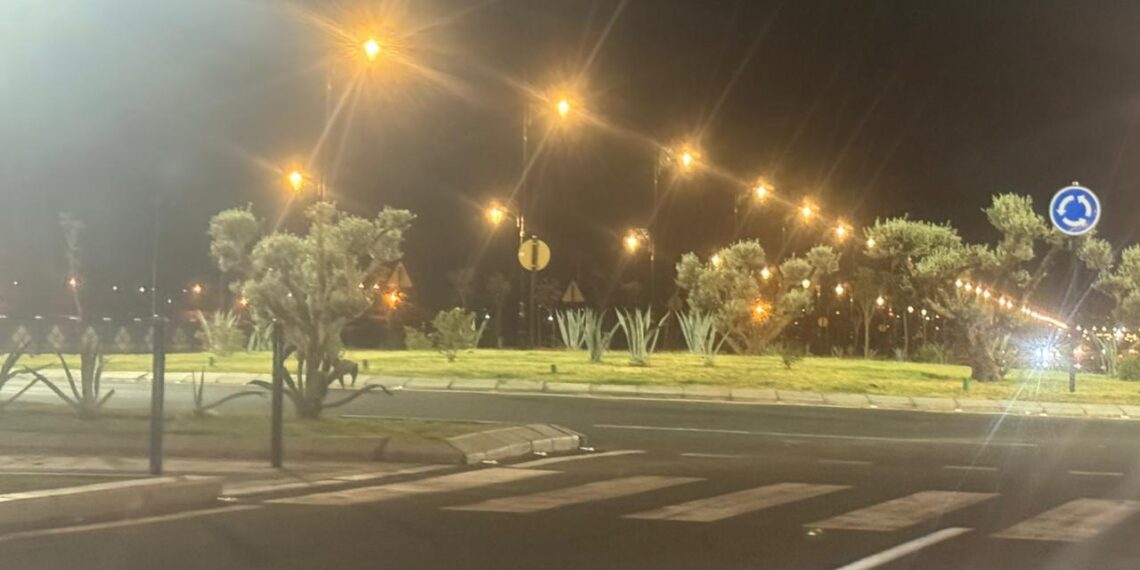 مدخل مدينة مراكش من جهة الدار البيضاء تتألق بحلة جديدة..أشغال التهيئة تحول المدخل الشمالي إلى واجهة حضرية راقية 1 WhatsApp Image 2026 06 17 at 13.34.31