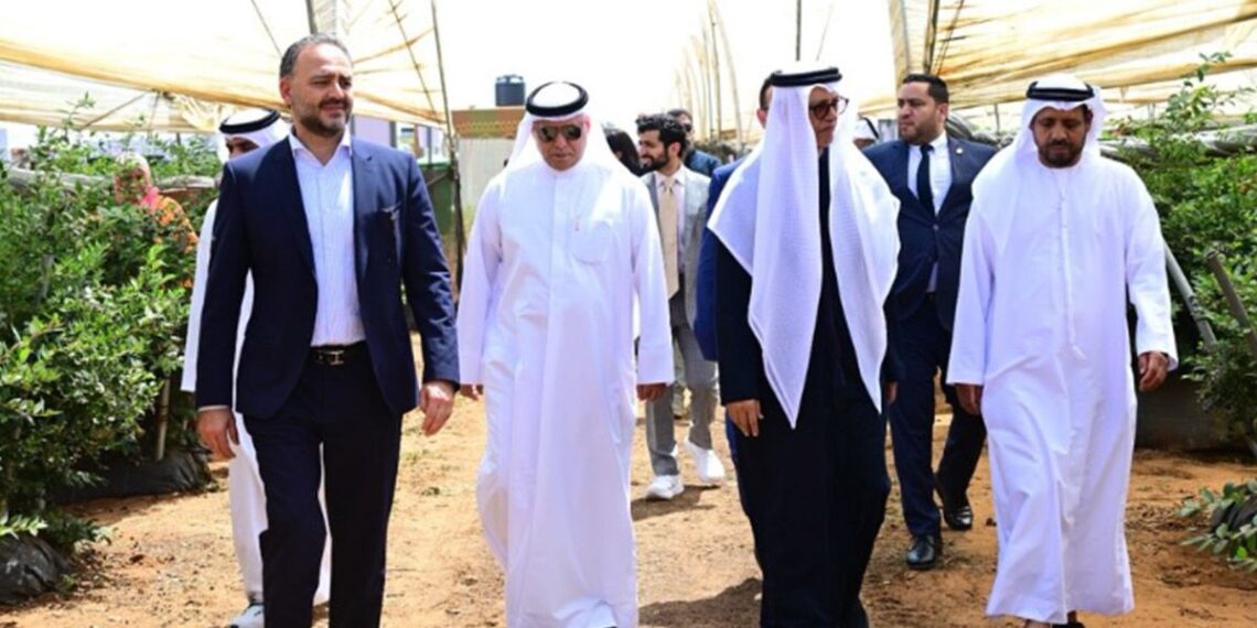 استثمار إماراتي جديد يدعم ريادة المغرب في هذا القطاع.. 1 إيليت هارفست المغرب