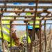 قطاع البناء بالمغرب يتوقع ارتفاع النشاط وتحسن التشغيل خلال الربع الثاني من 2026 6 chantier