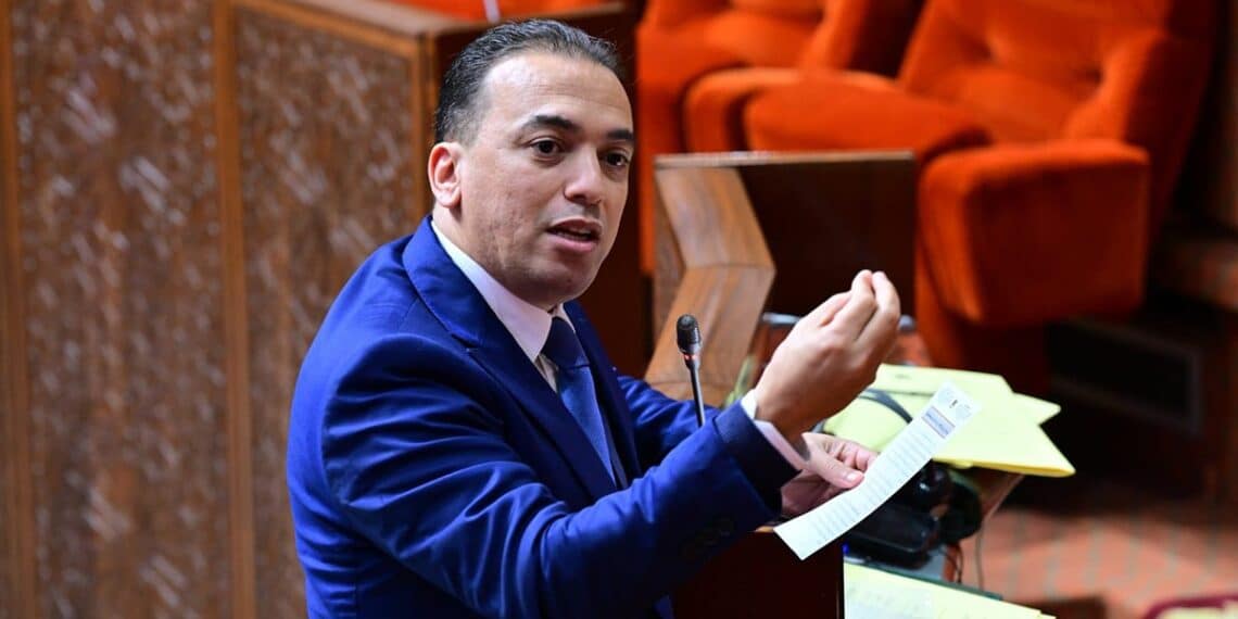 السعدي: تسجيل 446 ألف صانع وتجاوز عدد التعاونيات 65 ألفا بالمغرب 1 essaadi