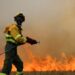 إسبانيا: حريق يدمر نحو 200 هكتار في مقاطعة توليدو 6 incendie tolede