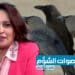 أصوات الشؤم 7 أصوات الشؤم