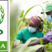 OCP Africa تقود مبادرة رقمية لتعزيز الأمن الغذائي في نيجيريا 6 COOPERATION OCP Africa 780x380 1