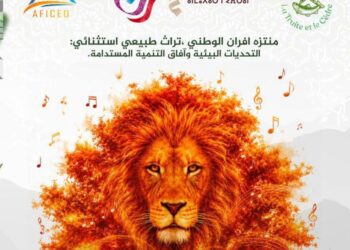 مهرجان إفران يحتفي بتراث الأطلس المتوسط ويزاوج بين الفن والبيئة 7 FB IMG 1784037718817