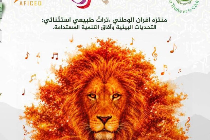 مهرجان إفران يحتفي بتراث الأطلس المتوسط ويزاوج بين الفن والبيئة 1 FB IMG 1784037718817