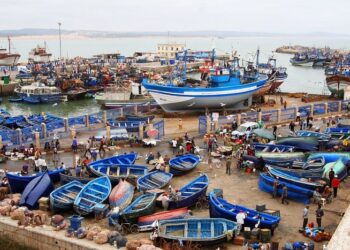 اصطدام مركبي صيد بميناء الصويرة ينهي حياة بحار ويصيب آخر 3 IMG 20260730 WA0016