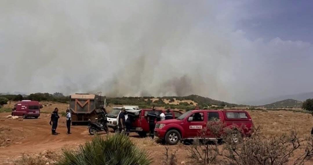 عودة النيران إلى غابة ببني ملال تربك جهود الإخماد.. والرياح القوية تعقد المهمة 1 WhatsApp Image 2026 07 17 at 14.23.55