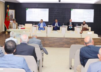تنمية الدواوير و الحد من أضرار البيئة من قلب المجلس الاقتصادي والاجتماعي و البيئي.. 3 المجلس الاقتصادي والاجتماعي والبيئي
