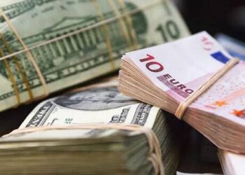 تحويلات مغاربة العالم تدعم مؤشرات الاقتصاد الوطني 4 devise