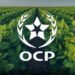 OCP توسع حضورها التنموي إلى 15 دولة عبر 256 مشروعا يستفيد منها 95 ألف شخص 7 images 3