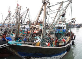 laayoune peche