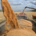 المغرب.. وجهة رئيسية لصادرات القمح الروسي بإفريقيا 7 Combines load wheat into trucks in a field during harvest near the village of Solyanoye in the Omsk region, Russia September 8, 2022. REUTERS/Alexey Malgavko