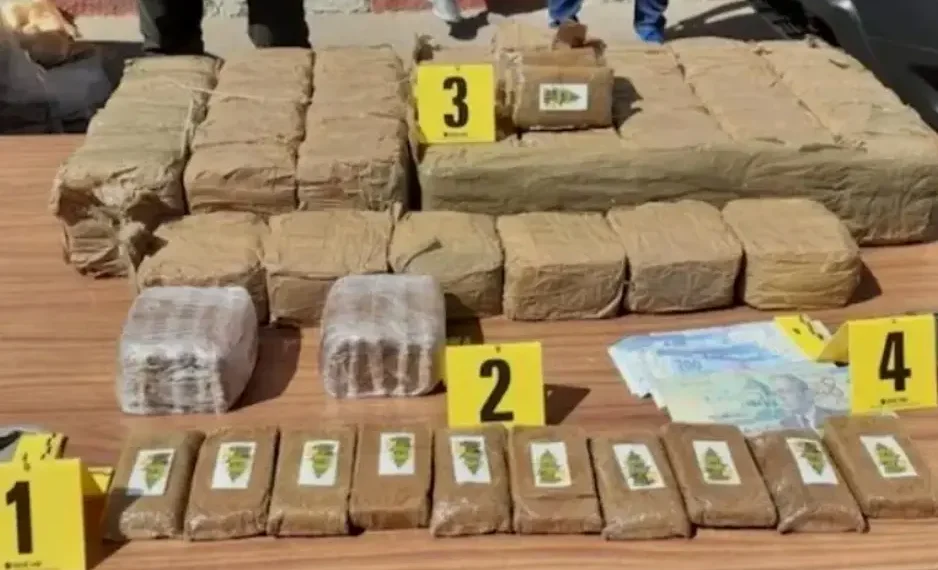 إحباط تهريب 350 كيلوغراما من الشيرا بميناء طنجة المتوسط 1 42