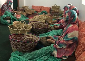 تعاونيات نسائية بإملشيل تعزز التمكين الاقتصادي وتدفع عجلة التنمية المحلية 5 686cee52eb685