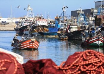 تراجع مفرغات الصيد بميناء المضيق بـ30% خلال النصف الأول من 2026 6 69b9b976ecc00