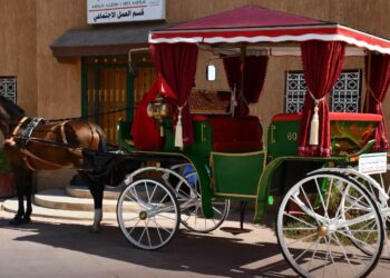 تارودانت.. ذكرى ثورة الملك والشعب تسليم النموذج الجديد لعربات النقل المجرورة بالخيول 5 779996063 1379905340988632 2200501803828210424 n