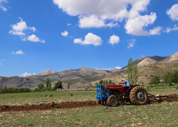 الدار البيضاء-سطات تعزز حماية أراضيها الفلاحية في مواجهة التوسع العمراني 4 Agriculture Maroc