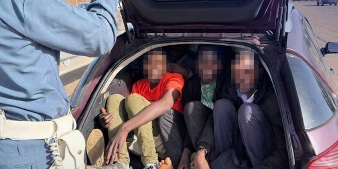 درك القنيطرة يجهض رحلات مشبوهة نحو سبتة.. حجز أكثر من 26 سيارة ومواصلة المراقبة 1 IMG 20260812 WA0045