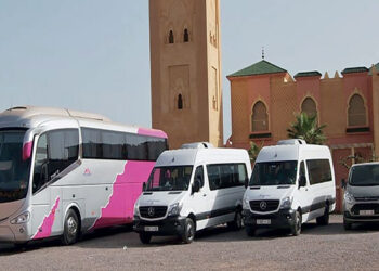 فتح باب التسجيل للاستفادة من دفعة جديدة من الدعم الاستثنائي لمهنيي النقل الطرقي 6 Transport routier