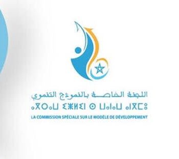 اللجنة الخاصة بالنموذج التنموي