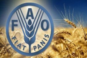 FAO
