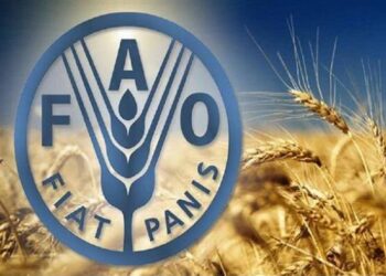 أسعار الغذاء العالمية تقفز إلى مستوى قياسي.. ما الذي يحدث في الأسواق؟ 5 FAO