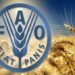 أسعار الغذاء العالمية تقفز إلى مستوى قياسي.. ما الذي يحدث في الأسواق؟ 7 FAO