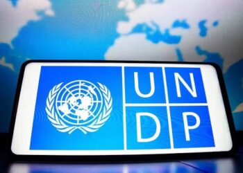 دليل أممي يوضح شروط استفادة الشركات المغربية من الامتيازات الجمركية داخل إفريقيا 4 UN DP