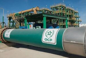 ocp