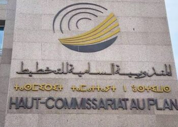 المندوبية السامية للتخطيط تكشف مفارقة الأسعار.. 3 المندوبية السامية للتخطيط