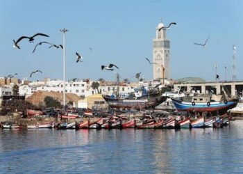 50 ألف بحار أمام قواعد جديدة.. الرباط تعيد رسم شروط العمل على متن سفن الصيد 3 سفن الصيد