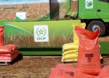 شحنة بـ54 ألف طن تعيد الفوسفاط المغربي إلى أمريكا 21 a6c1bb573c4eda315d96cdcab6a912dfd6eff5ff