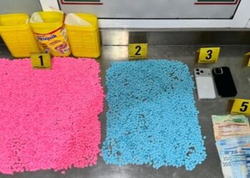 توقيف شخصين لارتباطهما بشبكة إجرامية بأكادير 4 agadir drogues 1