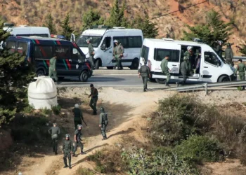 توقيف 148 مرشحا للهجرة غير النظامية بالفنيدق 5 ceuta migrants force