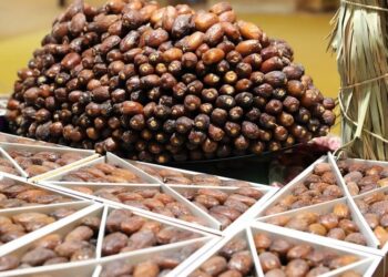 صادرات التمور المغربية إلى ألمانيا تحقق قفزة قياسية 4 dattes marocain 800