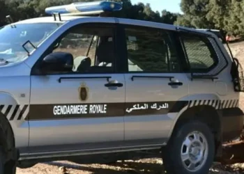 ابتزاز واستدراج عدد من الضحايا.. تفاصيل عملية توقيف عنصر من القوات المساعدة انتحل صفة دركي 4 image 870x 6917870d0bf66