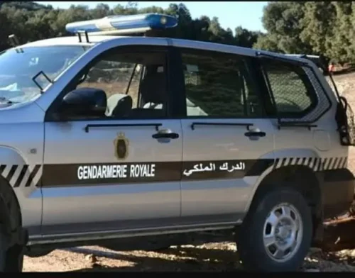 الرئيسية 26 image 870x 6917870d0bf66