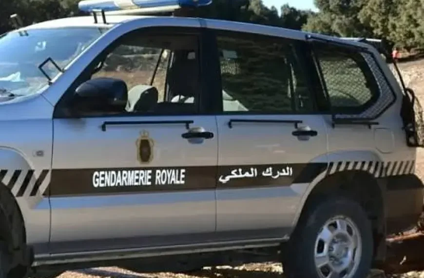 ابتزاز واستدراج عدد من الضحايا.. تفاصيل عملية توقيف عنصر من القوات المساعدة انتحل صفة دركي 1 image 870x 6917870d0bf66