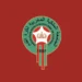 الجامعة تمنع أكاديميات ومدارس كرة القدم الخاصة من حمل أسماء أندية أجنبية 7 vis 0517202614290275 1