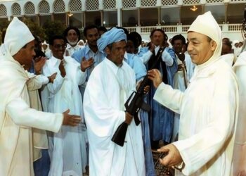 47 سنة على استرجاع وادي الذهب.. ذكرى راسخة في مسار الوحدة والتنمية 6 wad dahabe edit 300990534850231
