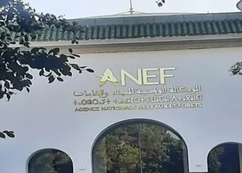 صفقة اقتناء سيارات جديدة لفائدة الوكالة الوطنية للمياه والغابات تثير علامات استفهام 6 الوكالة الوطنية للمياه والغابات 202405
